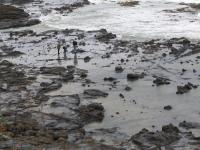 Albums/20060200-New Zealand 2006/20060313-Catlins/33